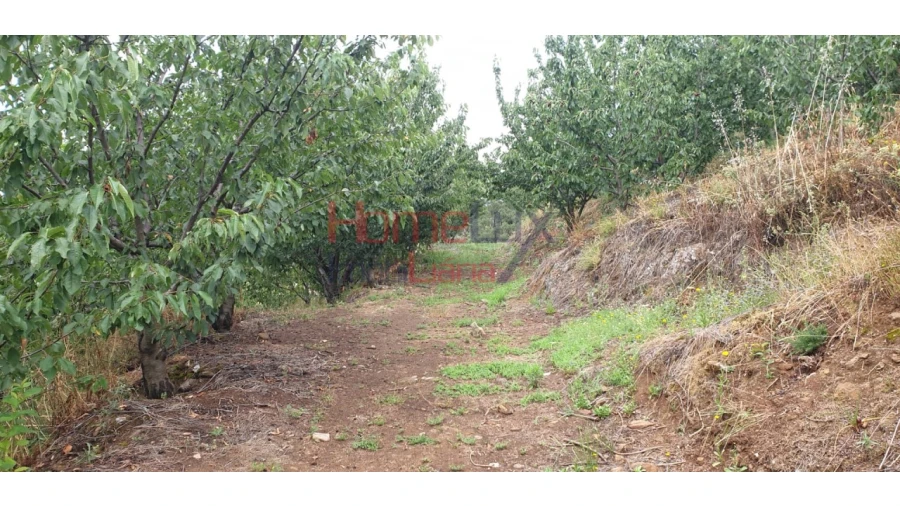 Terreno para Venda em Barro Foto 12