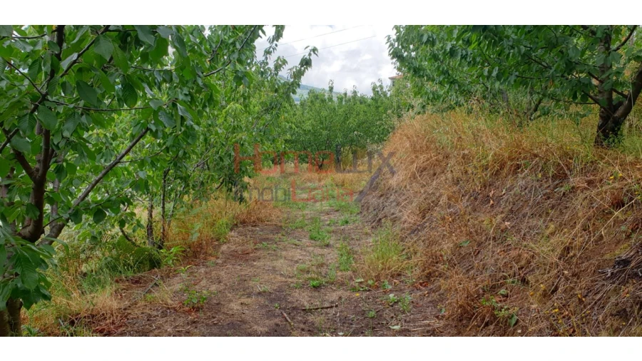 Terreno para Venda em Barro Foto 13
