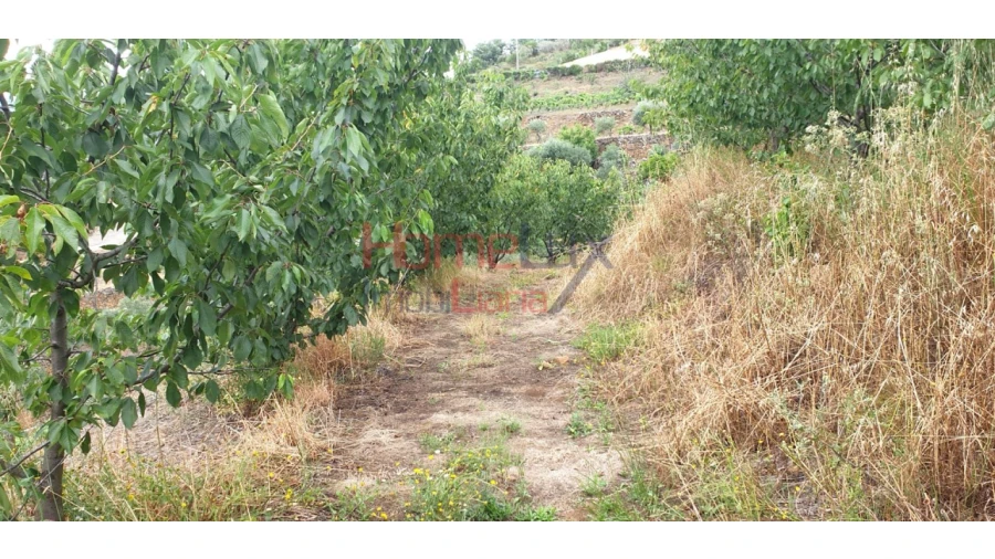 Terreno para Venda em Barro Foto 14