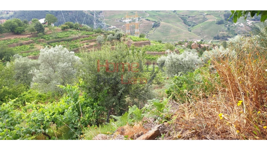 Terreno para Venda em Barro Foto 15