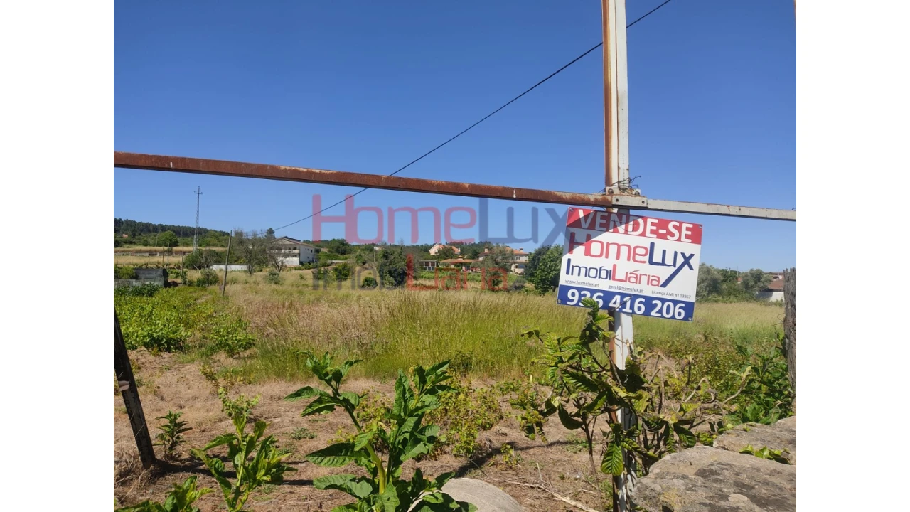 Terreno Agricola ou Rústico para Venda em São Martinho de Antas e Paradela de Guiães Foto 1
