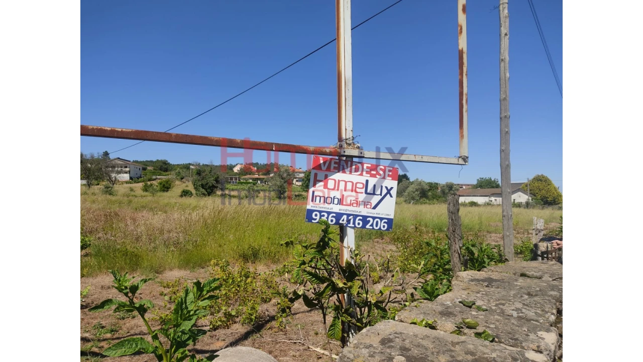 Terreno Agricola ou Rústico para Venda em São Martinho de Antas e Paradela de Guiães Foto 2