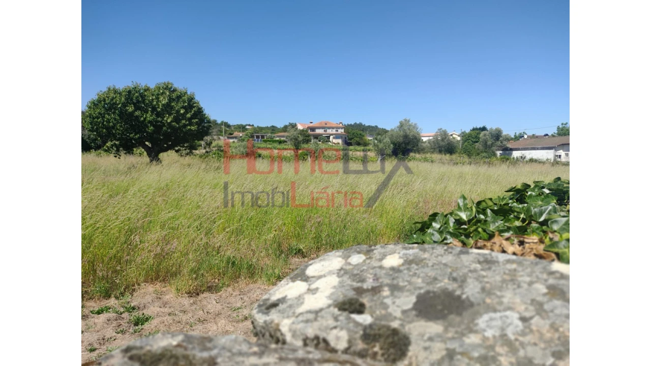 Terreno Agricola ou Rústico para Venda em São Martinho de Antas e Paradela de Guiães Foto 4