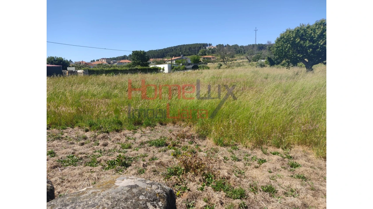 Terreno Agricola ou Rústico para Venda em São Martinho de Antas e Paradela de Guiães Foto 6