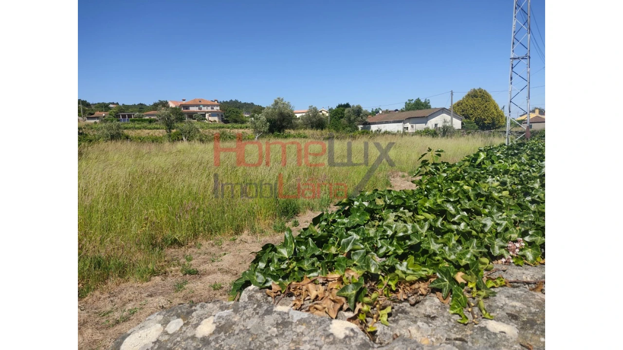 Terreno Agricola ou Rústico para Venda em São Martinho de Antas e Paradela de Guiães Foto 7