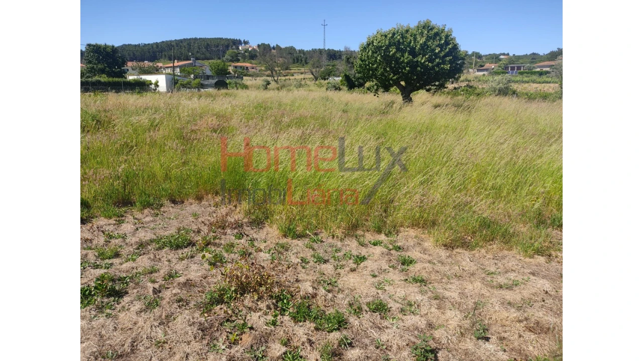 Terreno Agricola ou Rústico para Venda em São Martinho de Antas e Paradela de Guiães Foto 8