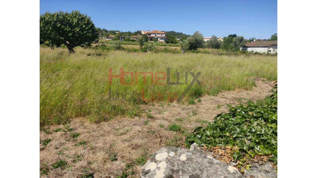 Terreno Agricola ou Rústico para Venda em São Martinho de Antas e Paradela de Guiães Foto 9