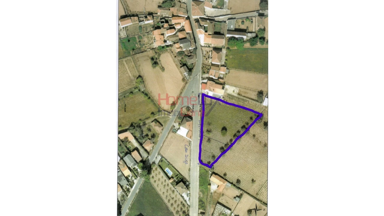 Terreno Agricola ou Rústico para Venda em São Martinho de Antas e Paradela de Guiães Foto 11