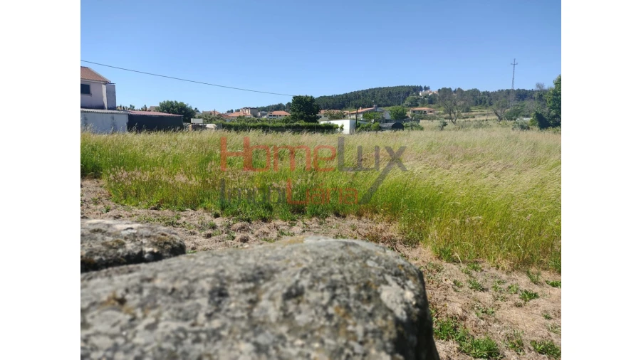Terreno Agricola ou Rústico para Venda em São Martinho de Antas e Paradela de Guiães Foto 3