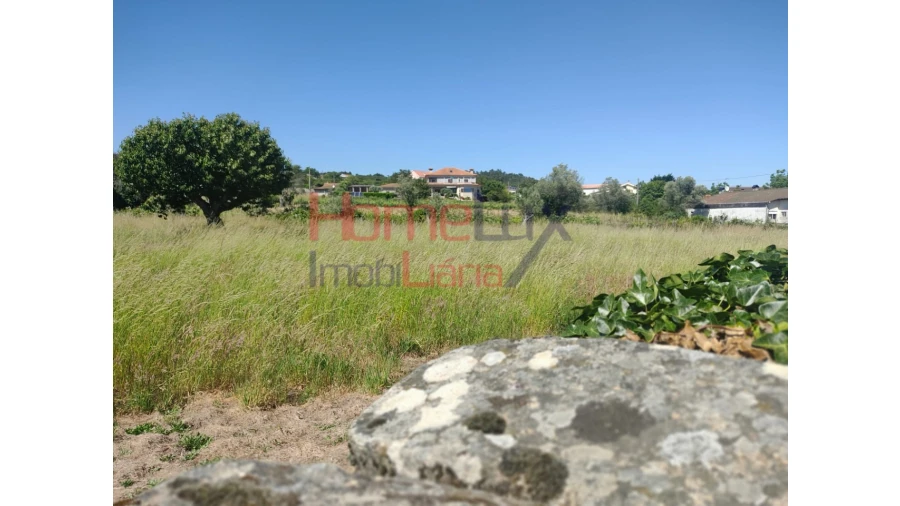 Terreno Agricola ou Rústico para Venda em São Martinho de Antas e Paradela de Guiães Foto 4