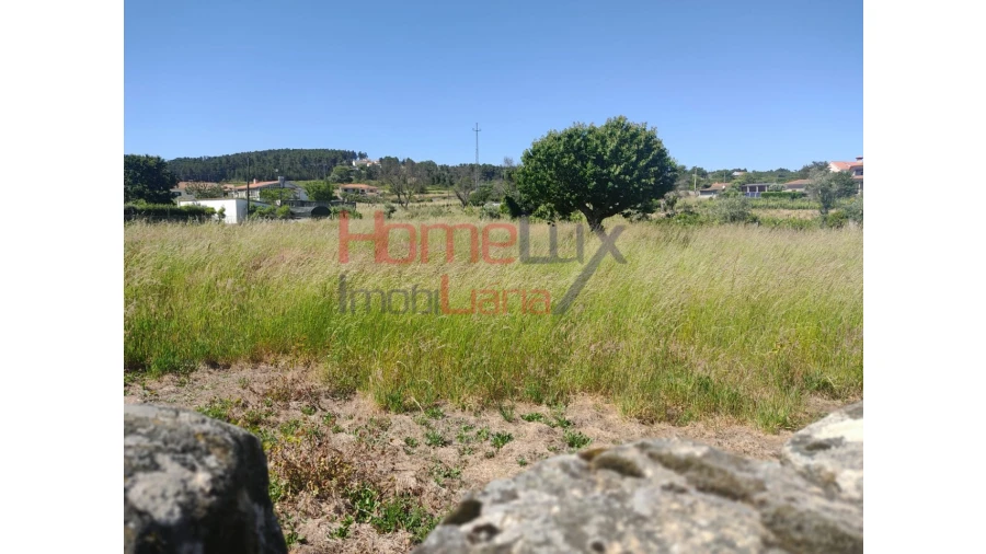 Terreno Agricola ou Rústico para Venda em São Martinho de Antas e Paradela de Guiães Foto 5