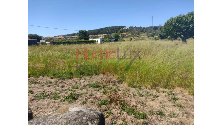 Terreno Agricola ou Rústico para Venda em São Martinho de Antas e Paradela de Guiães Foto 6