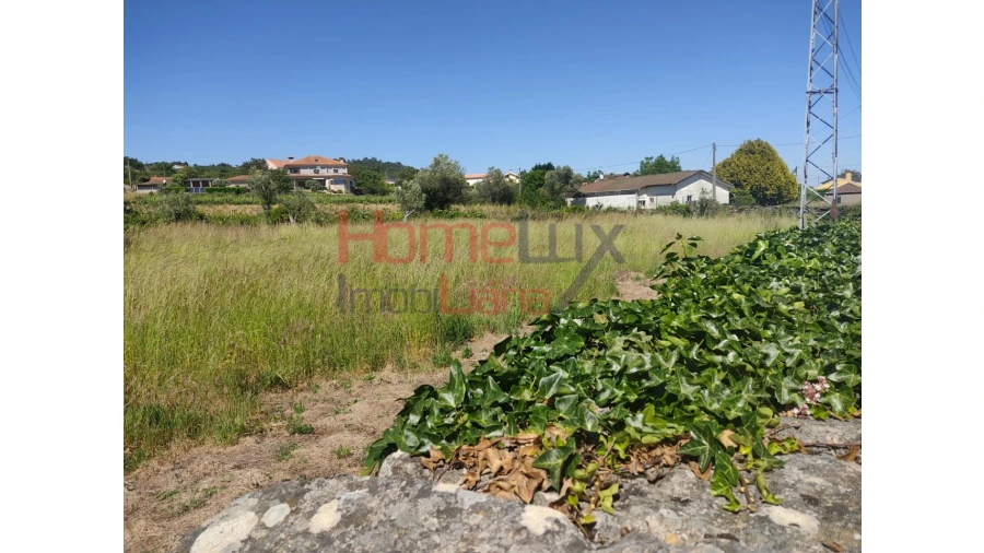 Terreno Agricola ou Rústico para Venda em São Martinho de Antas e Paradela de Guiães Foto 7