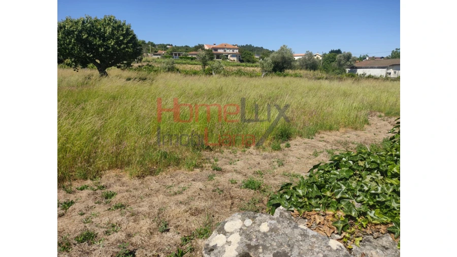 Terreno Agricola ou Rústico para Venda em São Martinho de Antas e Paradela de Guiães Foto 9