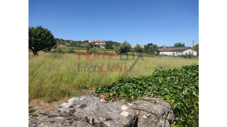 Terreno Agricola ou Rústico para Venda em São Martinho de Antas e Paradela de Guiães Foto 10