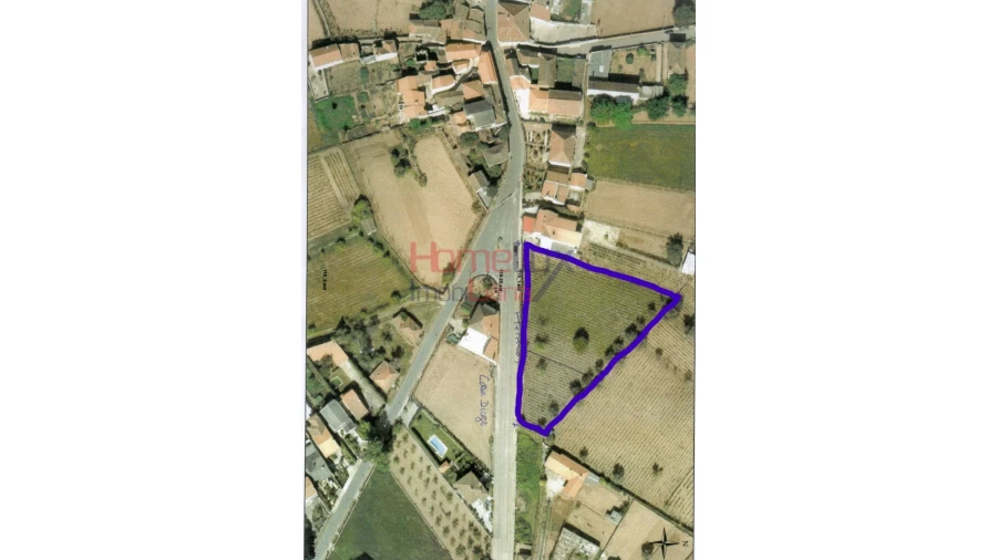 Terreno Agricola ou Rústico para Venda em São Martinho de Antas e Paradela de Guiães Foto 11