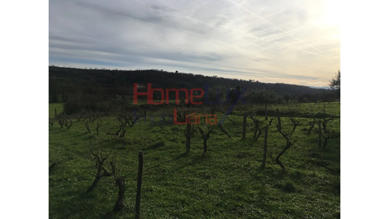 Quinta T3 para Venda em Covilhã e Canhoso Foto 20