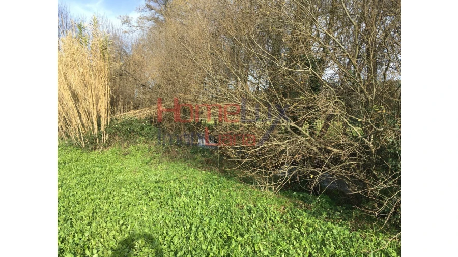 Quinta T3 para Venda em Covilhã e Canhoso Foto 14