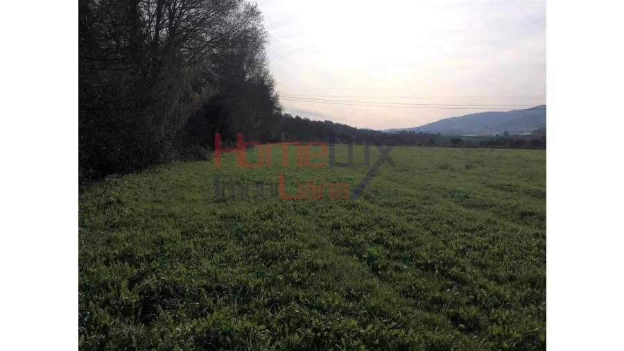 Quinta T3 para Venda em Covilhã e Canhoso Foto 17