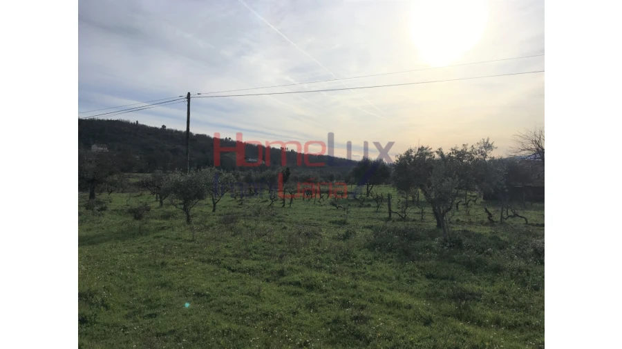 Quinta T3 para Venda em Covilhã e Canhoso Foto 19