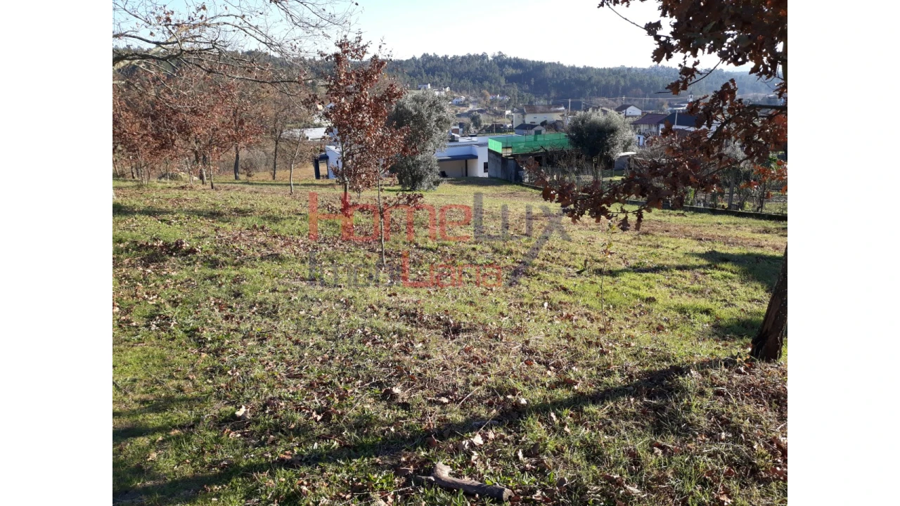 Terreno para Venda em Pindelo dos Milagres Foto 4