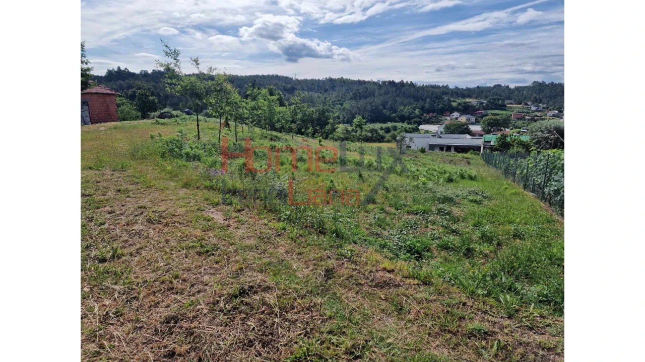 Terreno para Venda em Pindelo dos Milagres Foto 6