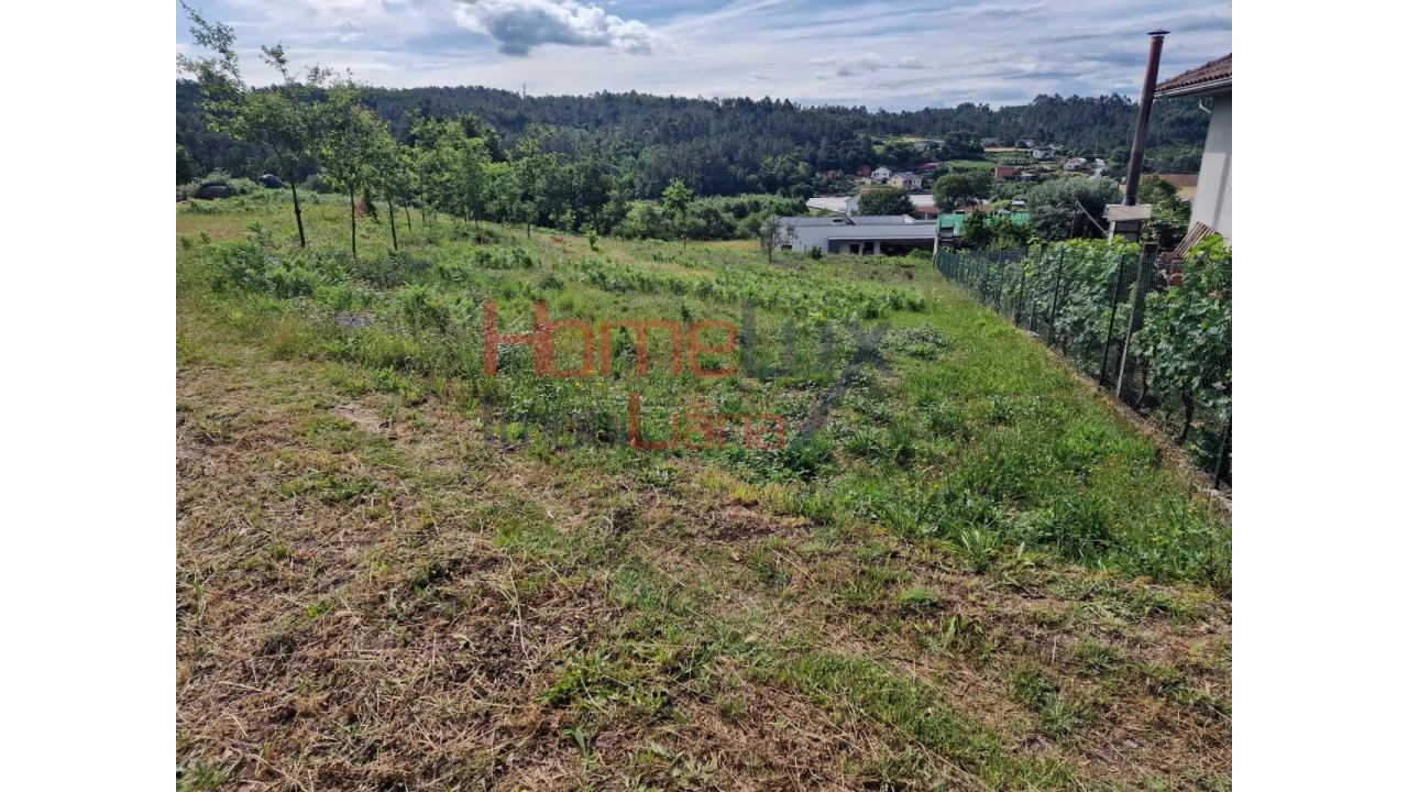 Terreno para Venda em Pindelo dos Milagres Foto 7