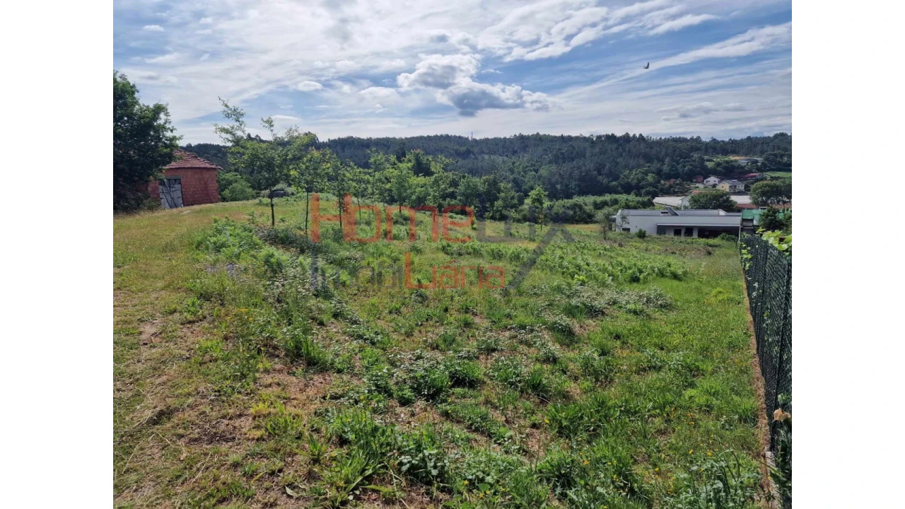 Terreno para Venda em Pindelo dos Milagres Foto 8
