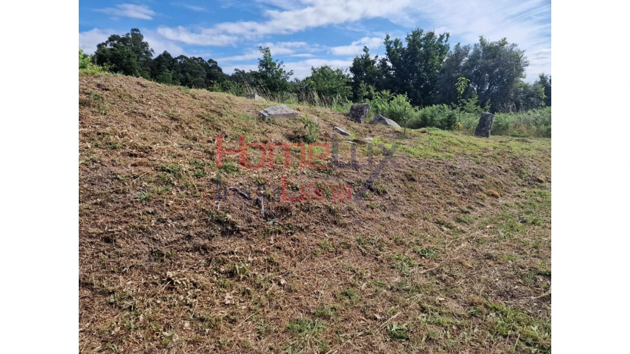 Terreno para Venda em Pindelo dos Milagres Foto 9