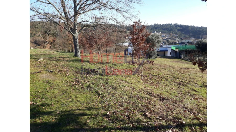 Terreno para Venda em Pindelo dos Milagres Foto 3
