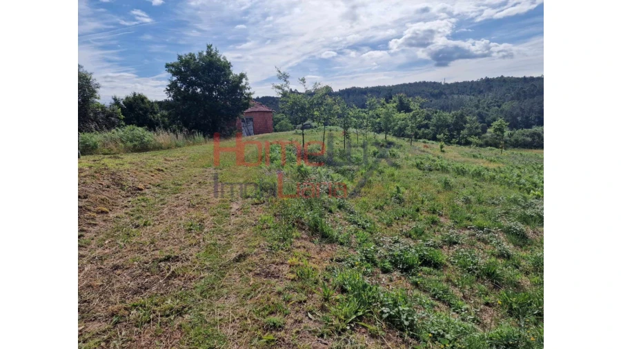 Terreno para Venda em Pindelo dos Milagres Foto 5