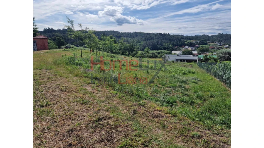 Terreno para Venda em Pindelo dos Milagres Foto 6