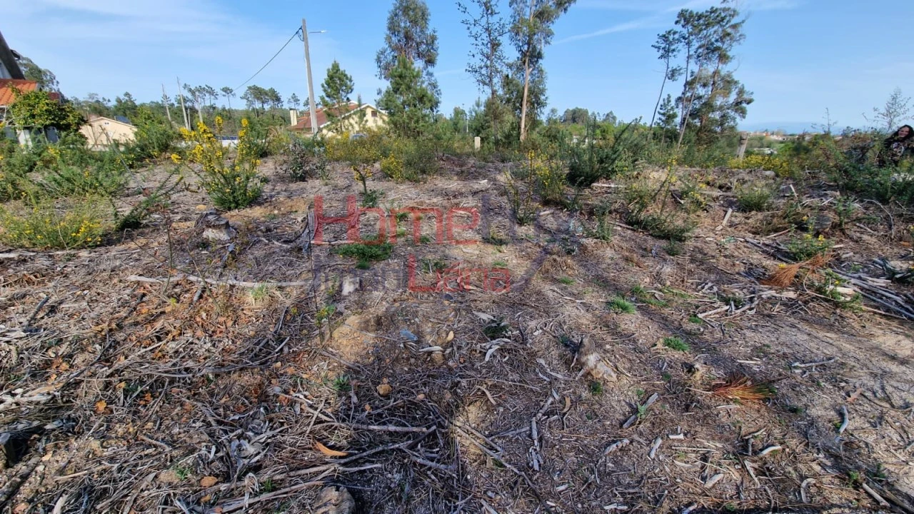 Terreno Agricola ou Rústico para Venda em Castelões Foto 1