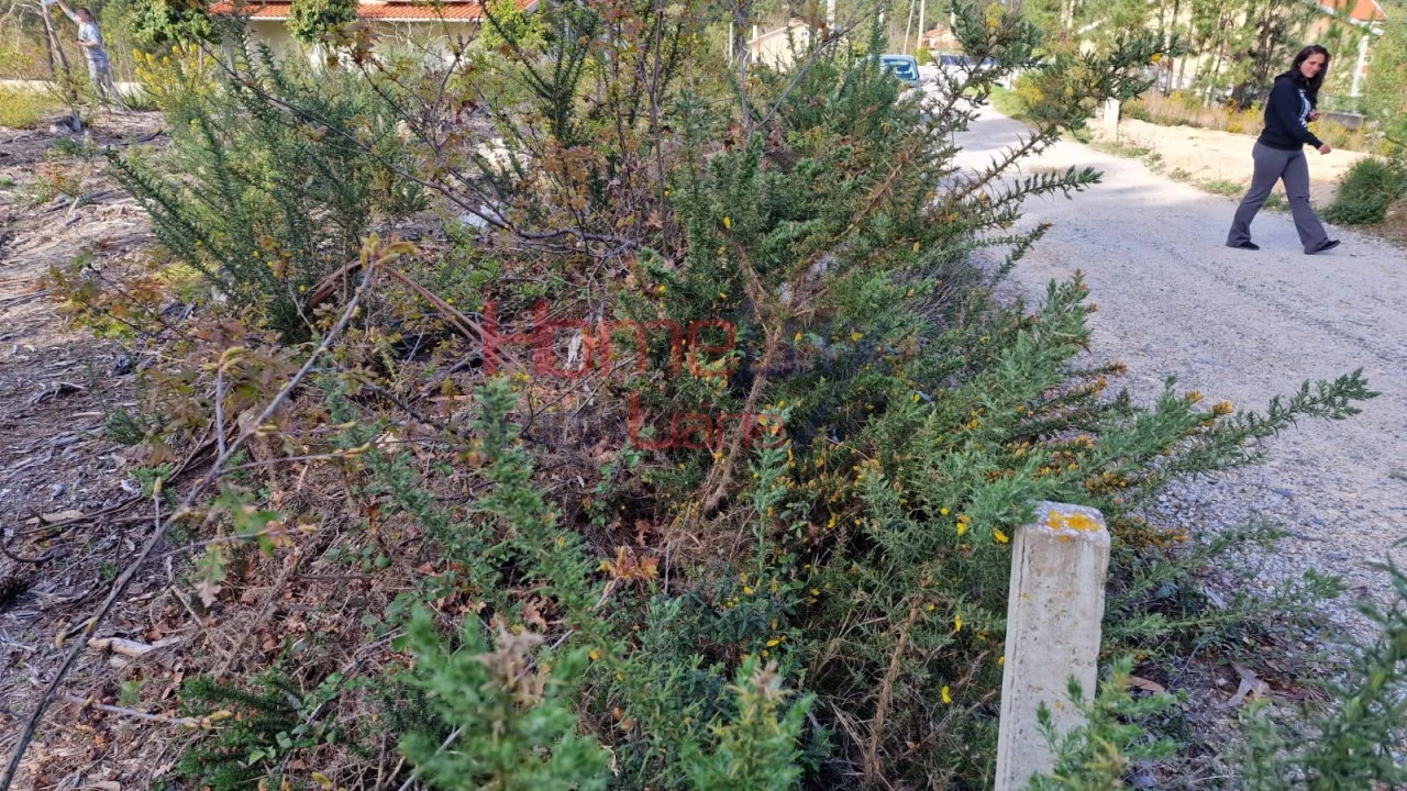 Terreno Agricola ou Rústico para Venda em Castelões Foto 2