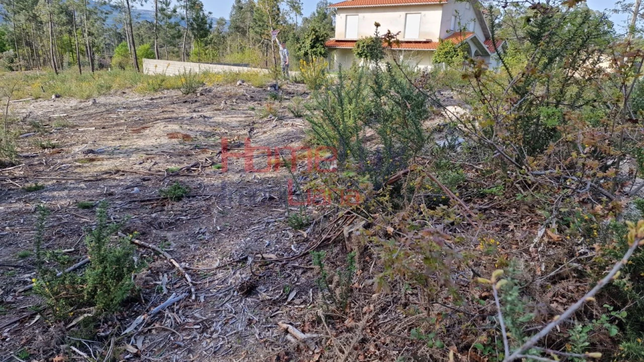 Terreno Agricola ou Rústico para Venda em Castelões Foto 3