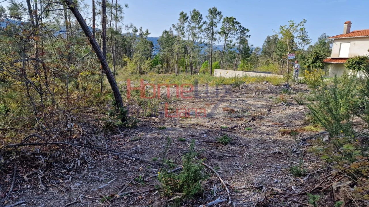 Terreno Agricola ou Rústico para Venda em Castelões Foto 8