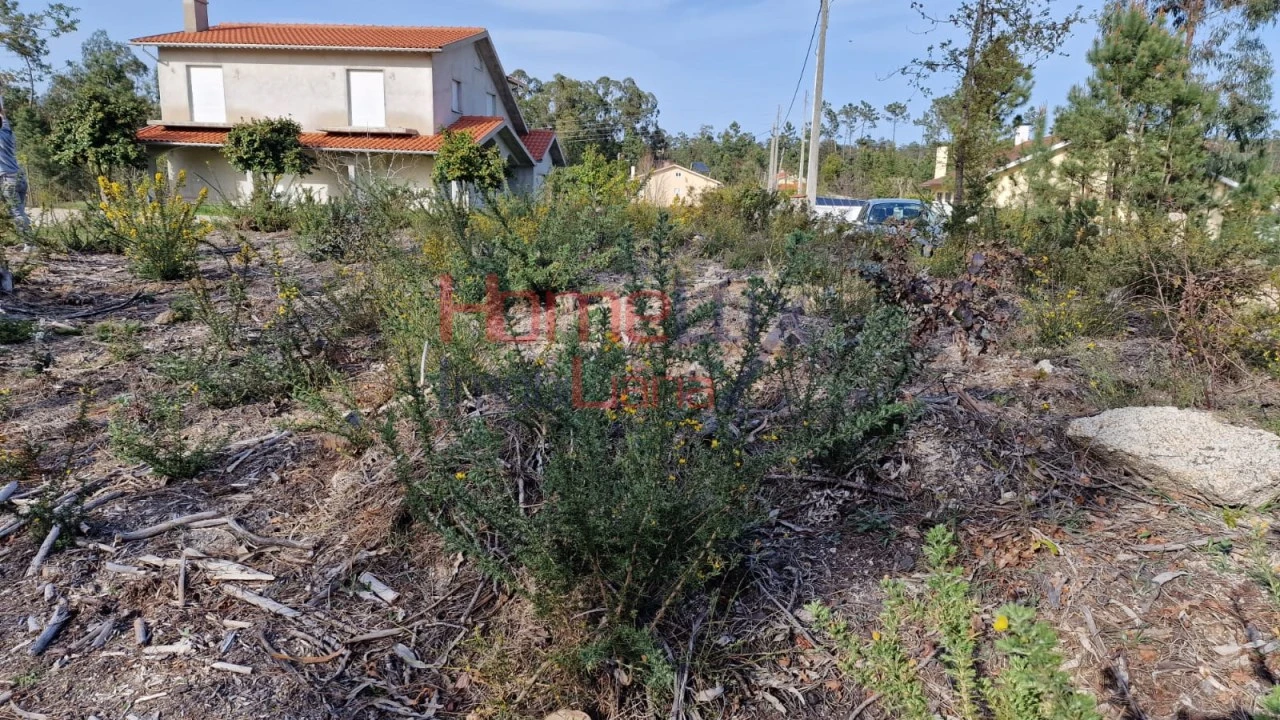 Terreno Agricola ou Rústico para Venda em Castelões Foto 9