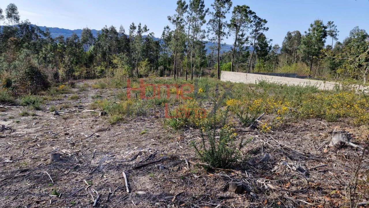 Terreno Agricola ou Rústico para Venda em Castelões Foto 10