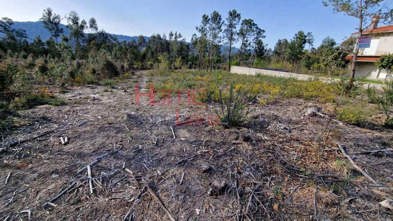 Terreno Agricola ou Rústico para Venda em Castelões Foto 11