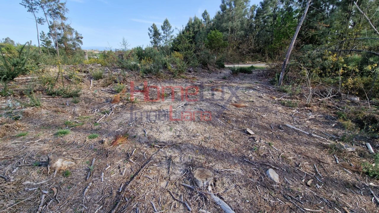 Terreno Agricola ou Rústico para Venda em Castelões Foto 16