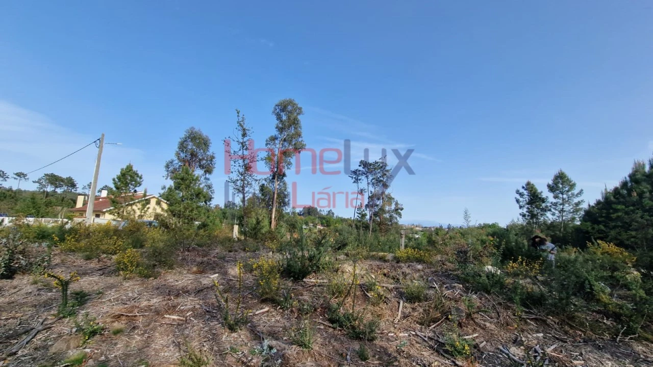 Terreno Agricola ou Rústico para Venda em Castelões Foto 19