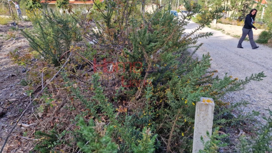 Terreno Agricola ou Rústico para Venda em Castelões Foto 2