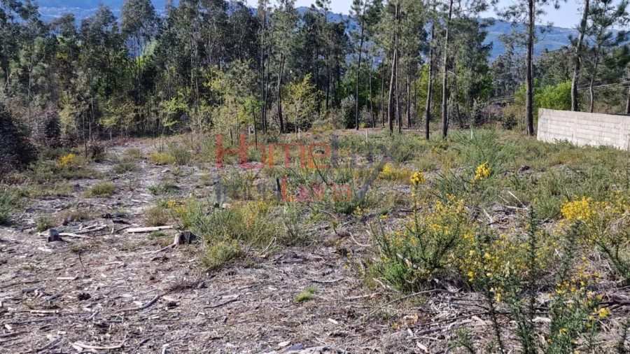 Terreno Agricola ou Rústico para Venda em Castelões Foto 5