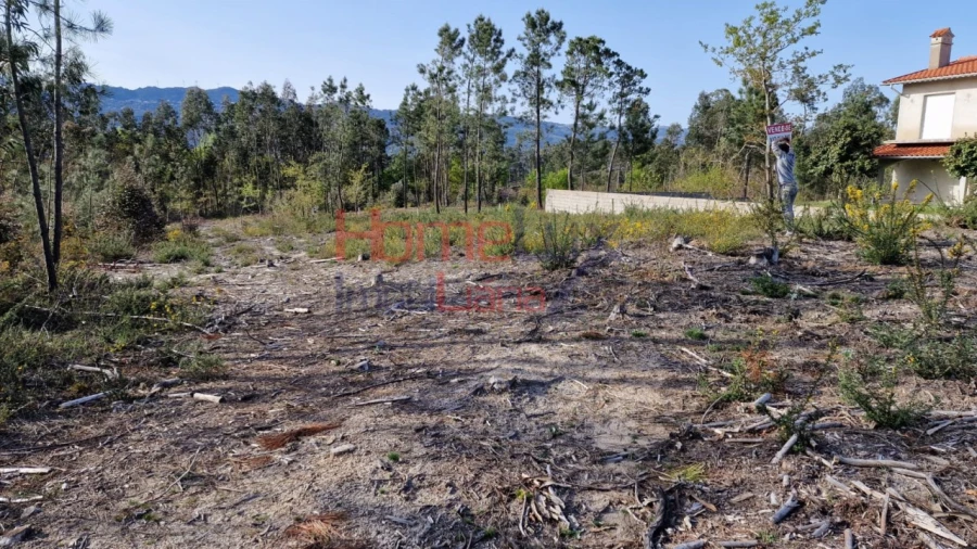 Terreno Agricola ou Rústico para Venda em Castelões Foto 6