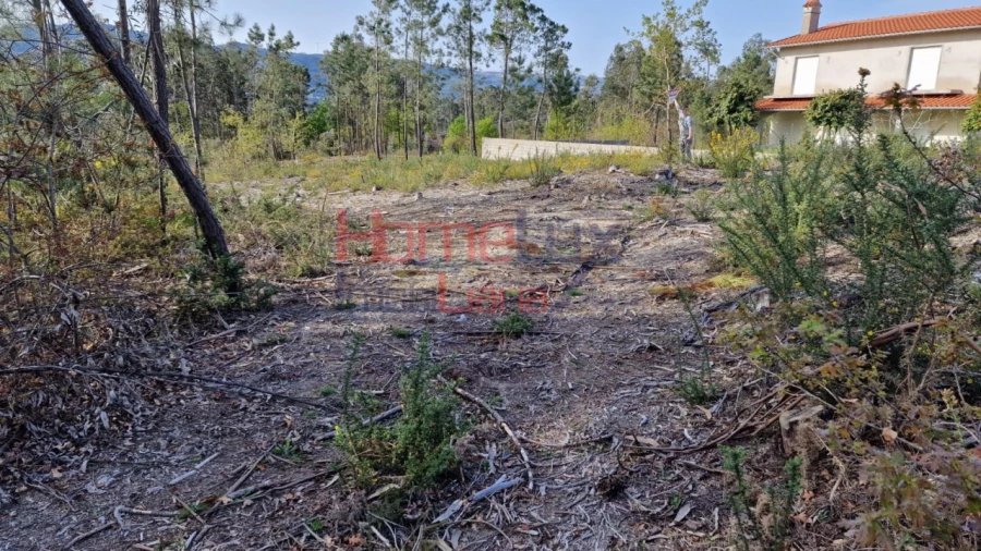 Terreno Agricola ou Rústico para Venda em Castelões Foto 7