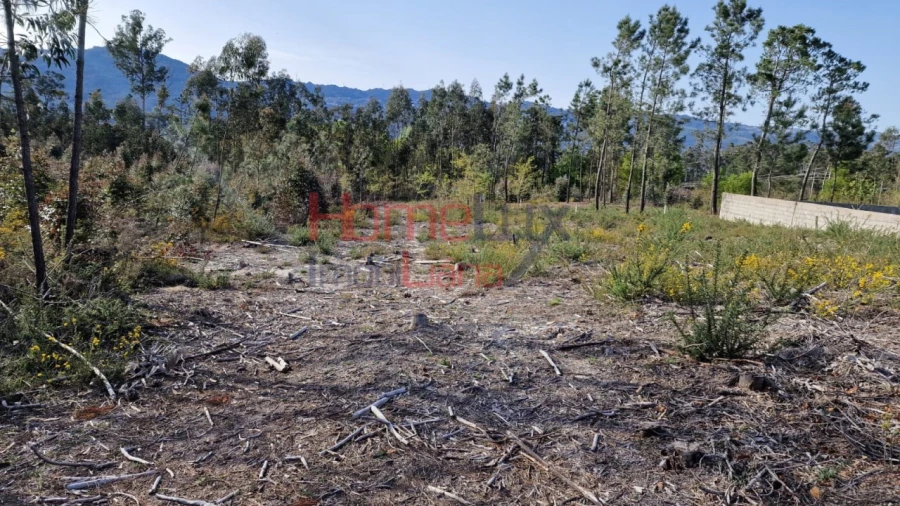 Terreno Agricola ou Rústico para Venda em Castelões Foto 12
