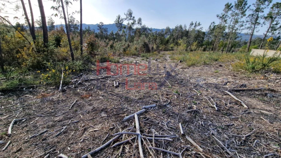 Terreno Agricola ou Rústico para Venda em Castelões Foto 13
