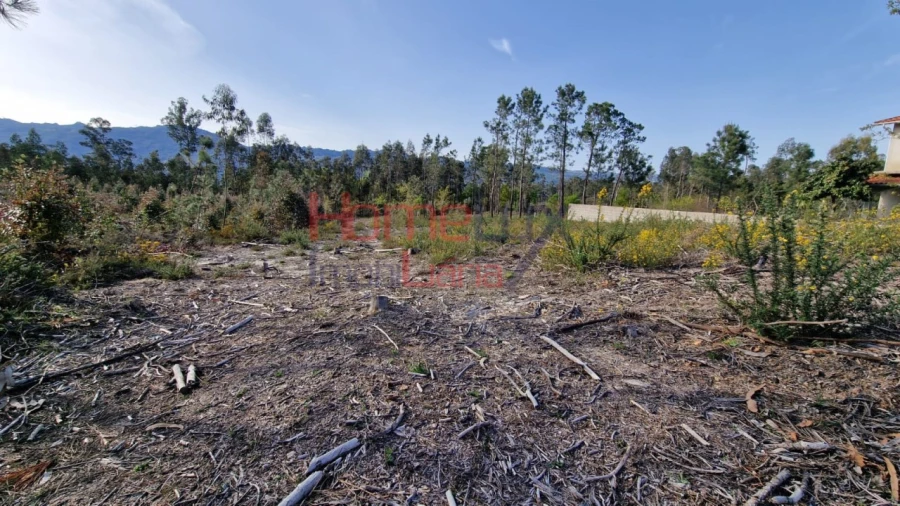 Terreno Agricola ou Rústico para Venda em Castelões Foto 14