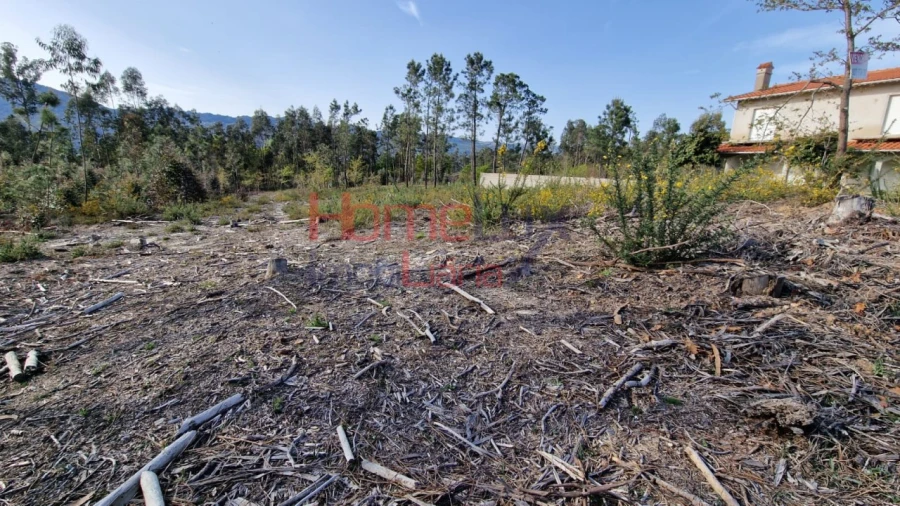 Terreno Agricola ou Rústico para Venda em Castelões Foto 15