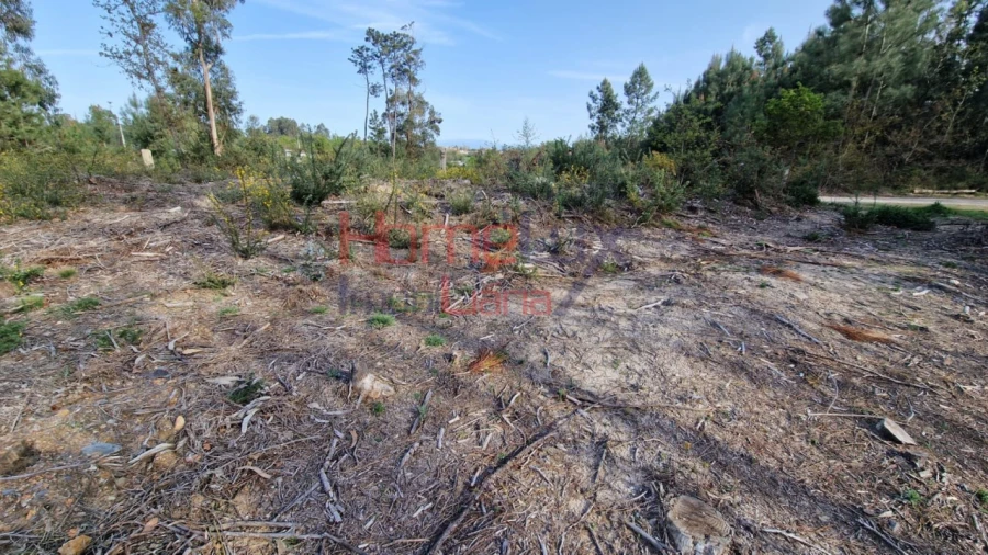 Terreno Agricola ou Rústico para Venda em Castelões Foto 17